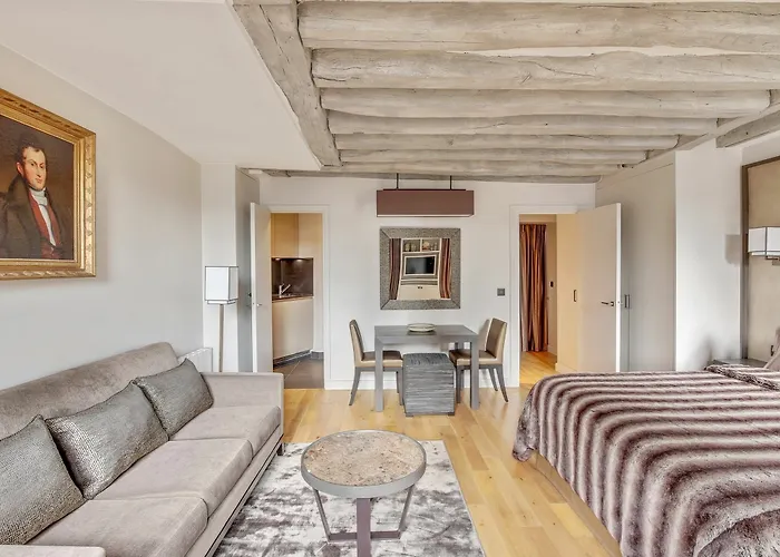 Luxury Apartment Paris Louvre